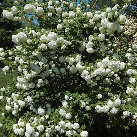 Casa Sorgente 4* San Costanzo